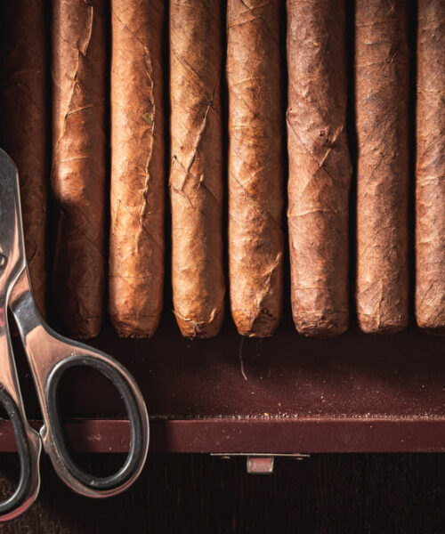 Puros Empatía Esmeralda en Panamá: un arte de sabor